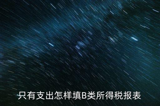 個人生產(chǎn)經(jīng)營所得B表稅金填什么，只有支出怎樣填B類所得稅報表