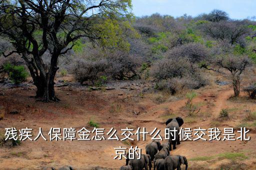 殘疾人保障金要求什么時(shí)候交，殘疾人保障金怎么交什么時(shí)候交我是北京的