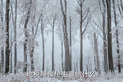地稅大企業(yè)局做什么的，地稅局崗位主要做什么
