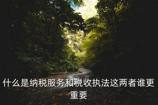 地稅納服是做什么，求助地稅納稅服務這個崗位有發(fā)展前景么