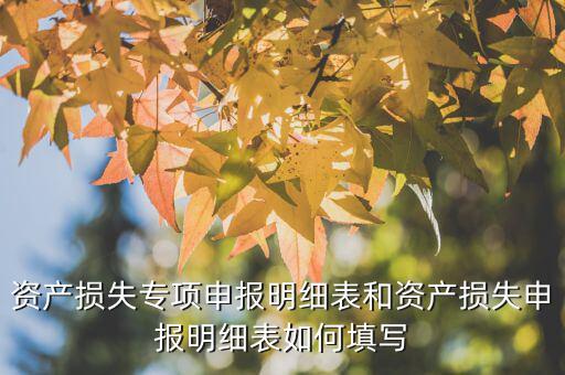 什么是專項資產(chǎn)損失申報表，所得稅申報表怎么填22資產(chǎn)損失