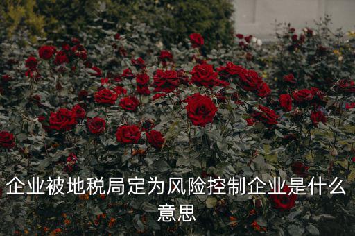 稅收風(fēng)險(xiǎn)控制是什么，稅務(wù)風(fēng)險(xiǎn)管理的稅務(wù)風(fēng)險(xiǎn)管理制度