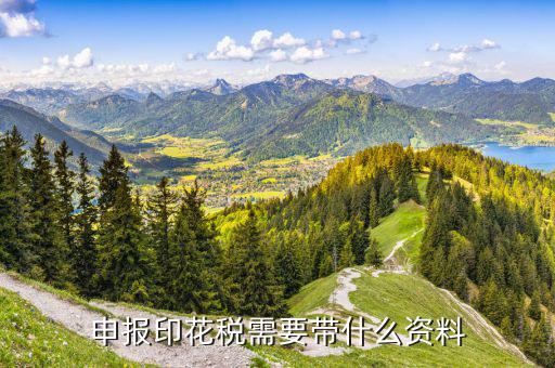 技術合同印花稅需要什么材料，需要交印花稅的技術合同包含哪些