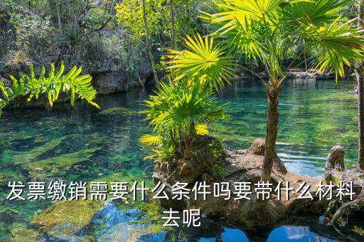 票證結報繳銷包括什么，去國稅局做稅票結報要帶哪些東西