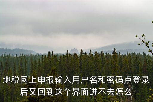 地稅網(wǎng)上申報輸入用戶名和密碼點(diǎn)登錄后又回到這個界面進(jìn)不去怎么