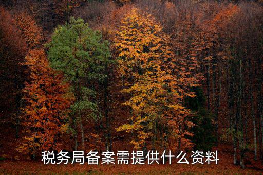 稅務(wù)局備案需提供什么資料，稅務(wù)局備案需提供什么資料
