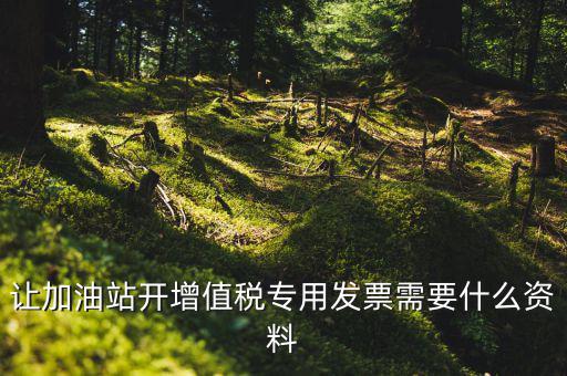升級(jí)成品油開(kāi)票模塊需要什么資料，成品油升級(jí)前開(kāi)的發(fā)票對(duì)方退回但是紅字和藍(lán)字發(fā)票都是從成品