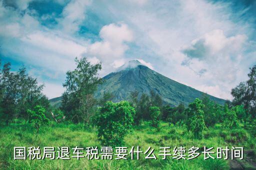 車輛國稅什么時候取消，說今年9月份取消汽車購置稅是嗎