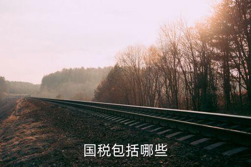 國稅51n指什么，國稅案檔號碼