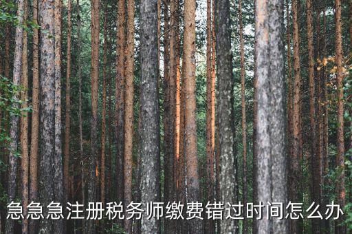 廣東省稅務(wù)師會費(fèi)什么時(shí)候交，廣州2013年的匯算清繳報(bào)告什么時(shí)候交