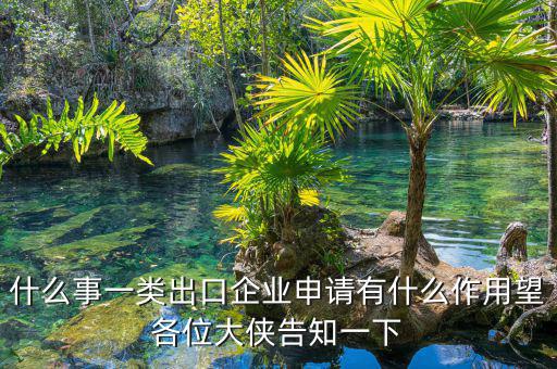 什么事一類(lèi)出口企業(yè)申請(qǐng)有什么作用望各位大俠告知一下