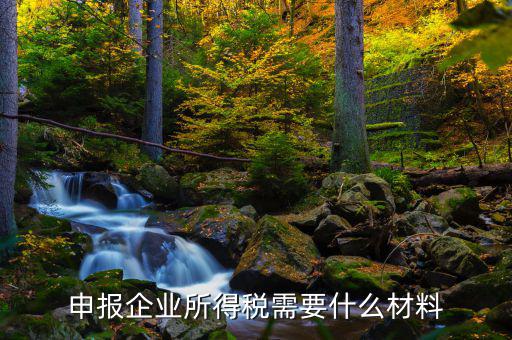 企業(yè)所得稅補申報需要什么，申報企業(yè)所得稅需要什么材料