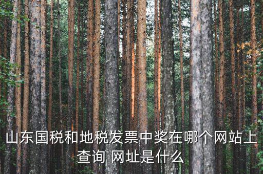 發(fā)票領(lǐng)用什么網(wǎng)站，誰知道發(fā)票兌獎上那個網(wǎng)站