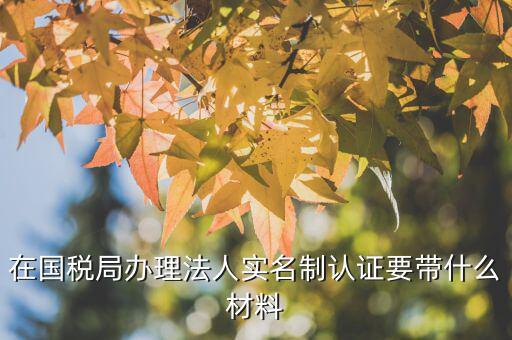 實名制辦稅員辦理需要什么資料，辦稅員證要帶什么資料