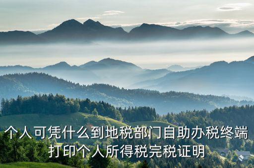 稅務(wù)局自助辦稅服務(wù)終端是什么，自助辦稅終端 報(bào)稅