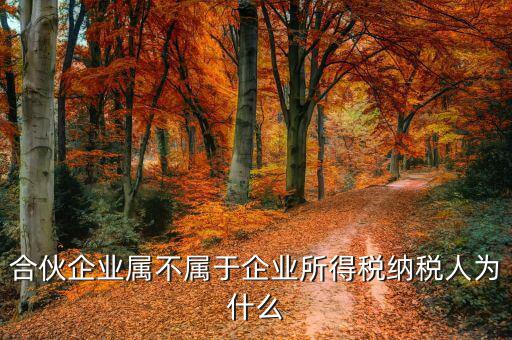 合伙企業(yè)為什么是個稅納稅人，合伙企業(yè)屬不屬于企業(yè)所得稅納稅人為什么