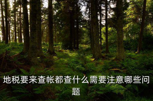 地稅主要查什么，地稅查賬一般都查哪些方面呢