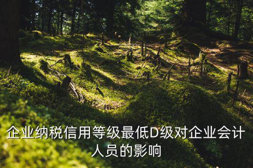 企業(yè)納稅信用等級最低D級對企業(yè)會(huì)計(jì)人員的影響