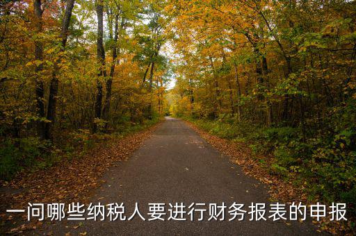 什么單位需要委托代征申報表，一問哪些納稅人要進(jìn)行財務(wù)報表的申報