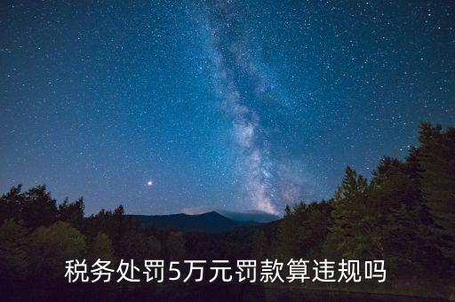 稅務(wù)重大違規(guī)是指什么，登錄國稅國稅的違章信息是什么意思