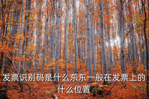 河北發(fā)票識(shí)別碼是什么意思，發(fā)票的識(shí)別碼是不是繳稅單位的稅號(hào)