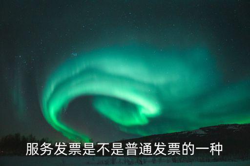 服務(wù)發(fā)票屬于什么發(fā)票，編制書(shū)刊服務(wù)費(fèi)的發(fā)票屬于什么類(lèi)