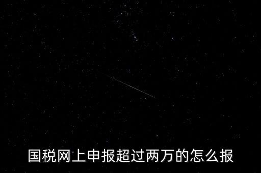 國稅網(wǎng)報入口是什么，怎樣才能進入小規(guī)模納稅人增值稅網(wǎng)上申報系統(tǒng)