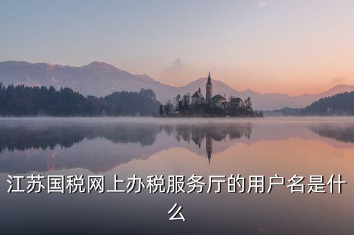 網(wǎng)上辦稅平臺帳號是什么，地稅網(wǎng)上申報用什么帳號