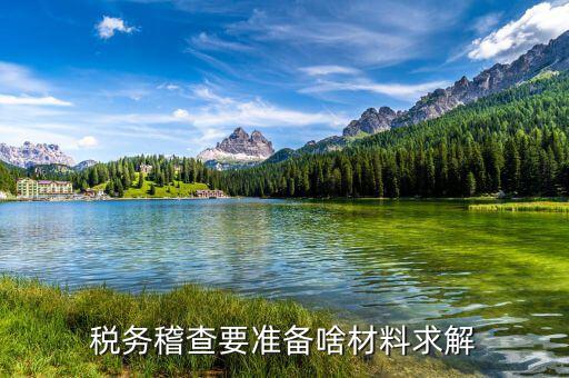 稅收調(diào)查需要什么資料，稅務(wù)檢查調(diào)閱企業(yè)會計資料需要辦理什么手續(xù)