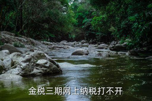 金稅門戶為什么打不開，金稅三期網(wǎng)上納稅打不開