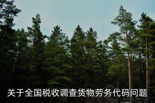 關于全國稅收調(diào)查貨物勞務代碼問題