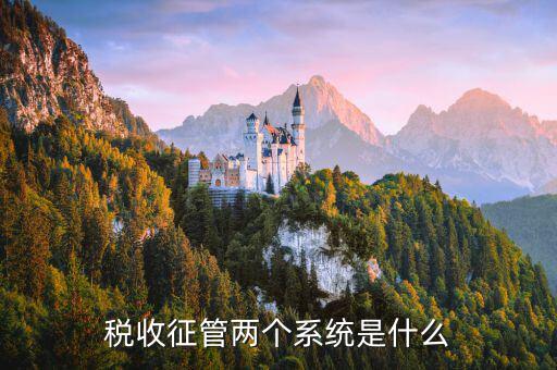 稅務(wù)什么叫核心征管系統(tǒng)，稅收征管兩個(gè)系統(tǒng)是什么
