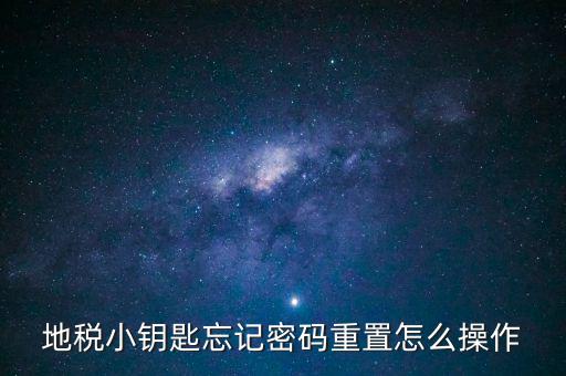 地稅密碼重置需要什么，地稅網(wǎng)上納稅申報密碼忘記了