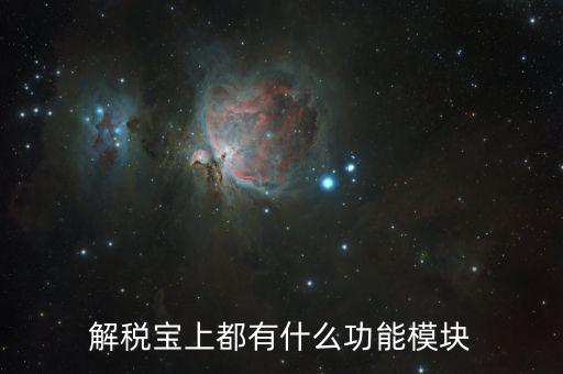 稅寶是什么意思，解稅寶上都有什么功能模塊