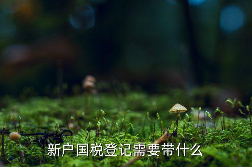 稅務(wù)新開戶需要帶什么東西，新戶國稅登記需要帶什么