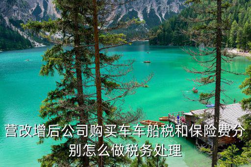 營改增后車船稅計(jì)什么科目，營改增后公司購買車車船稅和保險(xiǎn)費(fèi)分別怎么做稅務(wù)處理