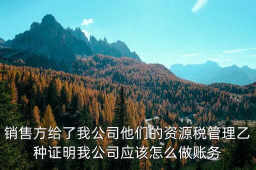 什么叫資源稅甲乙種證明，銷售方給了我公司他們的資源稅管理乙種證明我公司應(yīng)該怎么做賬務(wù)