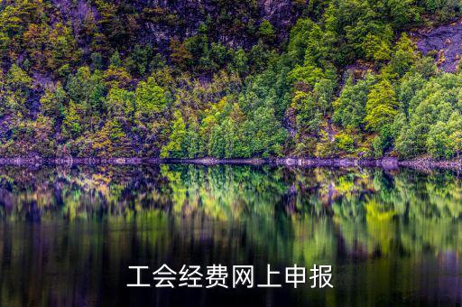 工會經(jīng)費在什么地方申報，有關(guān)工會經(jīng)費申報的問題