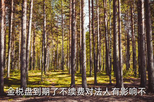 金稅盤(pán)到期了不續(xù)費(fèi)對(duì)法人有影響不