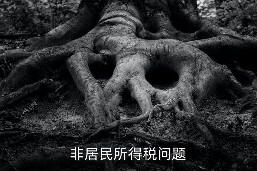 有什么是非居民企業(yè)，個(gè)私企業(yè)的范圍除了個(gè)體戶還包括哪些性質(zhì)的企業(yè)