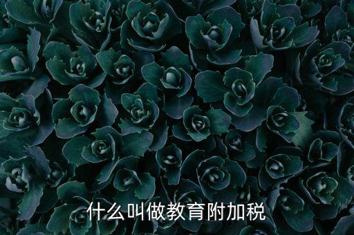 教育附加什么意思，教育費附加代表什么意思