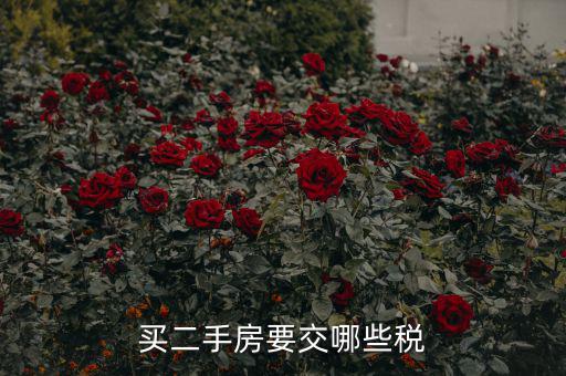 買二手公建房交什么稅，買二手房要交哪些稅