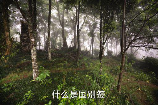 什么是國別報(bào)送條件，國別是什么意思