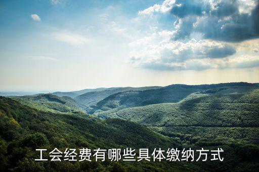 工會經(jīng)費按什么來預(yù)繳，請問工會經(jīng)費怎么繳納