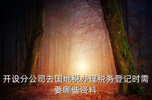 分公司地稅辦理需要什么材料，辦理分公司的稅務登記證需要準備哪些資料