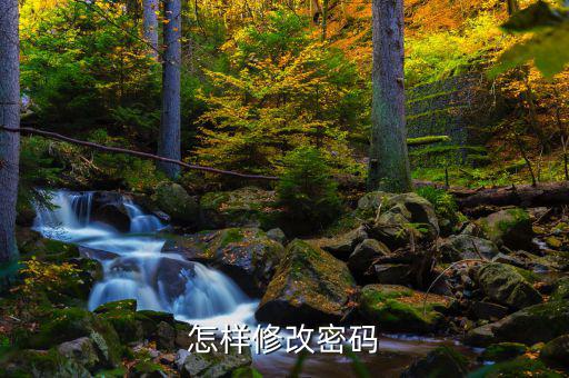 怎樣改國稅密碼是什么，山東省國家稅務局網上辦稅平臺納稅人的密碼怎么改