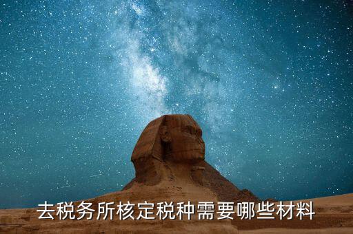 國稅票種核定需要什么，哪些情況下要進(jìn)行國稅票種核定