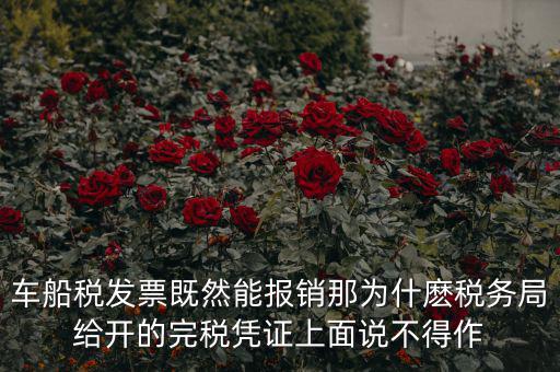 車船稅發(fā)票既然能報銷那為什麼稅務局給開的完稅憑證上面說不得作