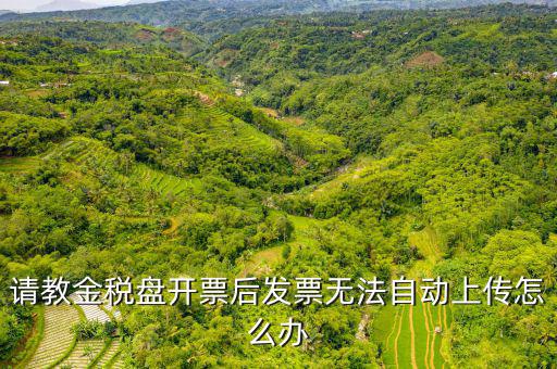 為什么增值發(fā)票上傳不上去，發(fā)票上傳不了怎么辦