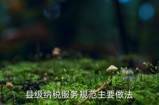 如何納稅的便民措施，如何提高納稅人滿意度 中國稅務(wù)報